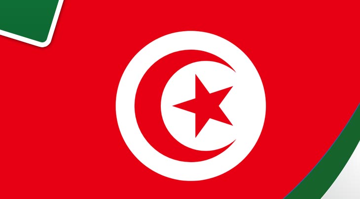 المنتخب التونسي يتعرف على منافسيه في مونديال كرة اليد للأواسط